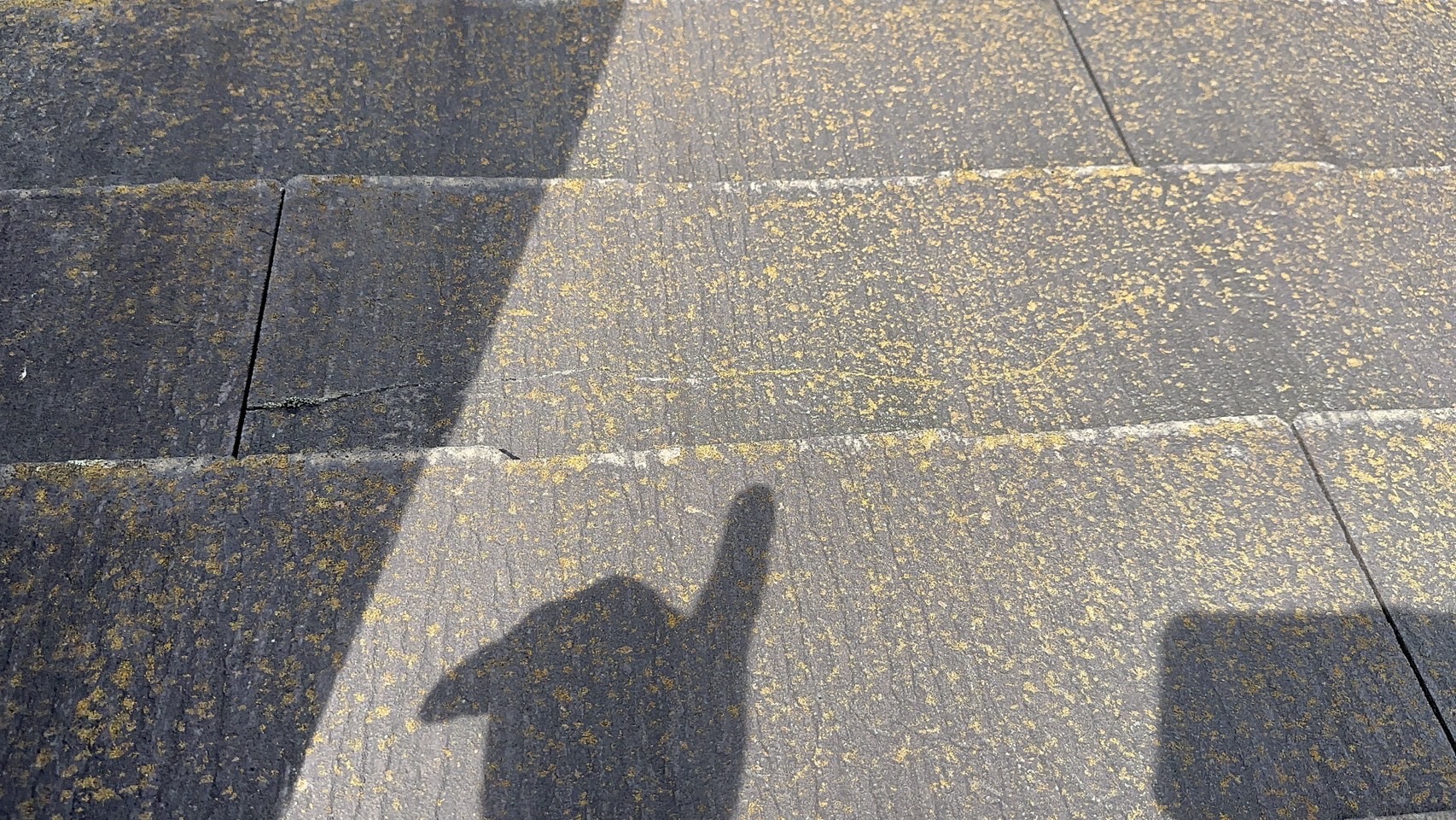 山下レポート！【横浜市緑区青砥町】外壁リシンのひび割れ＆屋根コロニアルクァッドの劣化を調査｜塗装工事前の現地診断