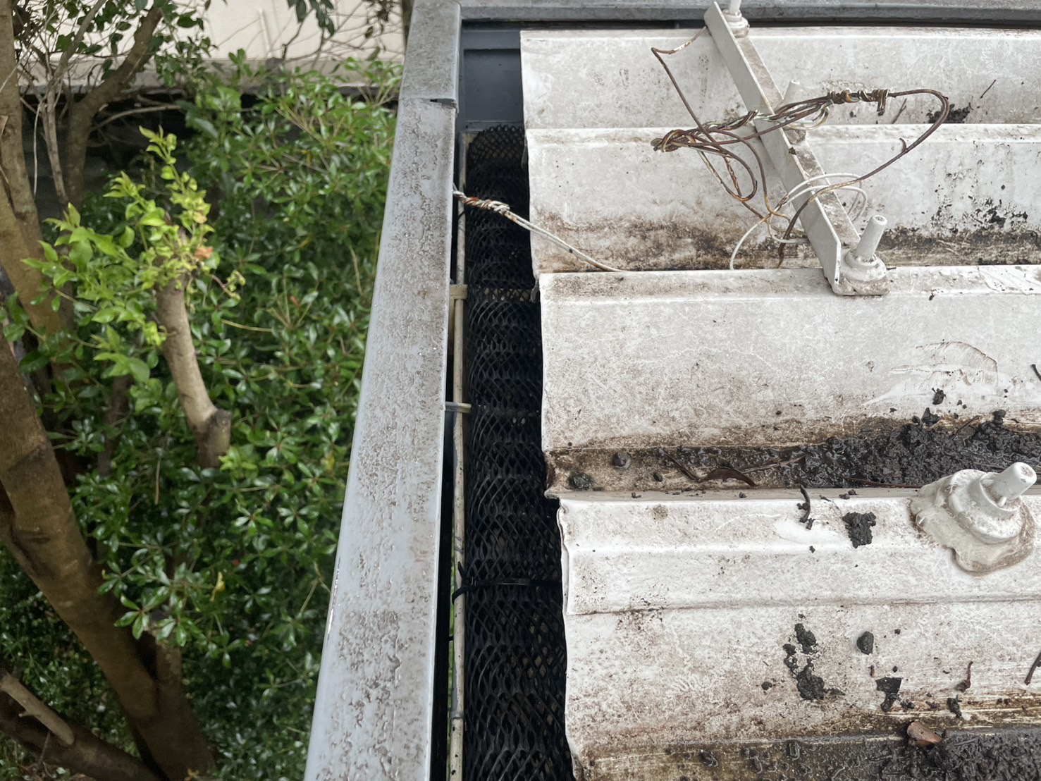 山下レポート【横浜市緑区十日市場町｜雨樋清掃と枯葉よけネット設置で詰まり対策｜OB様邸点検】