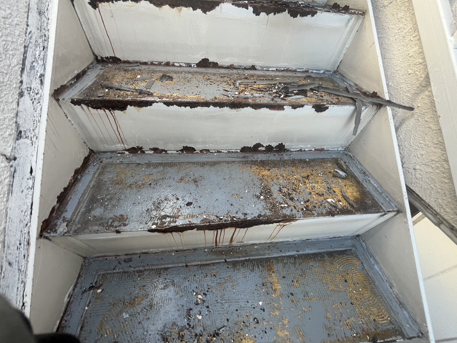 【横浜市鶴見区｜アパート長尺シート撤去工事】下地調整から新設までの流れを職人が解説