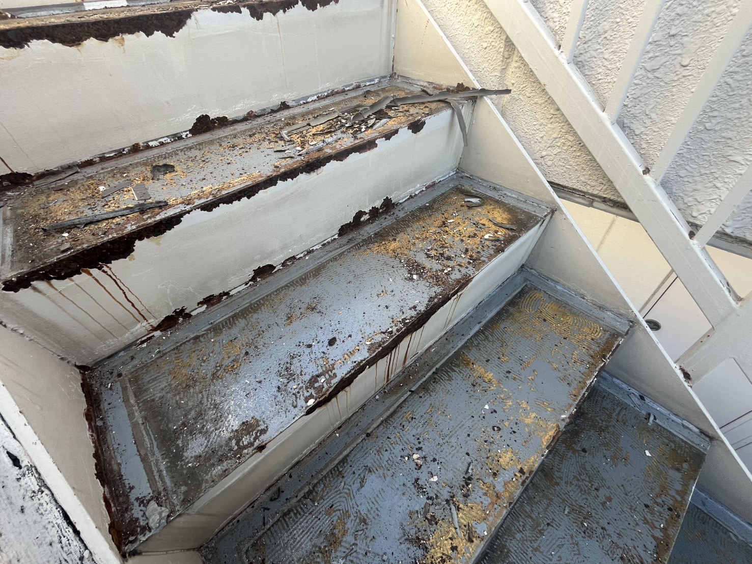 【横浜市鶴見区｜アパート長尺シート撤去工事】下地調整から新設までの流れを職人が解説