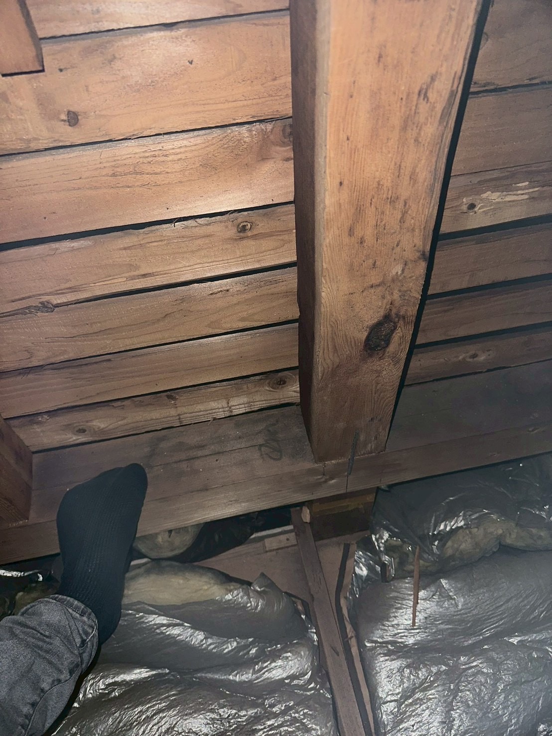 横浜市旭区｜雨漏りは外壁塗装で直らない？職人調査で分かった本当の原因🧐