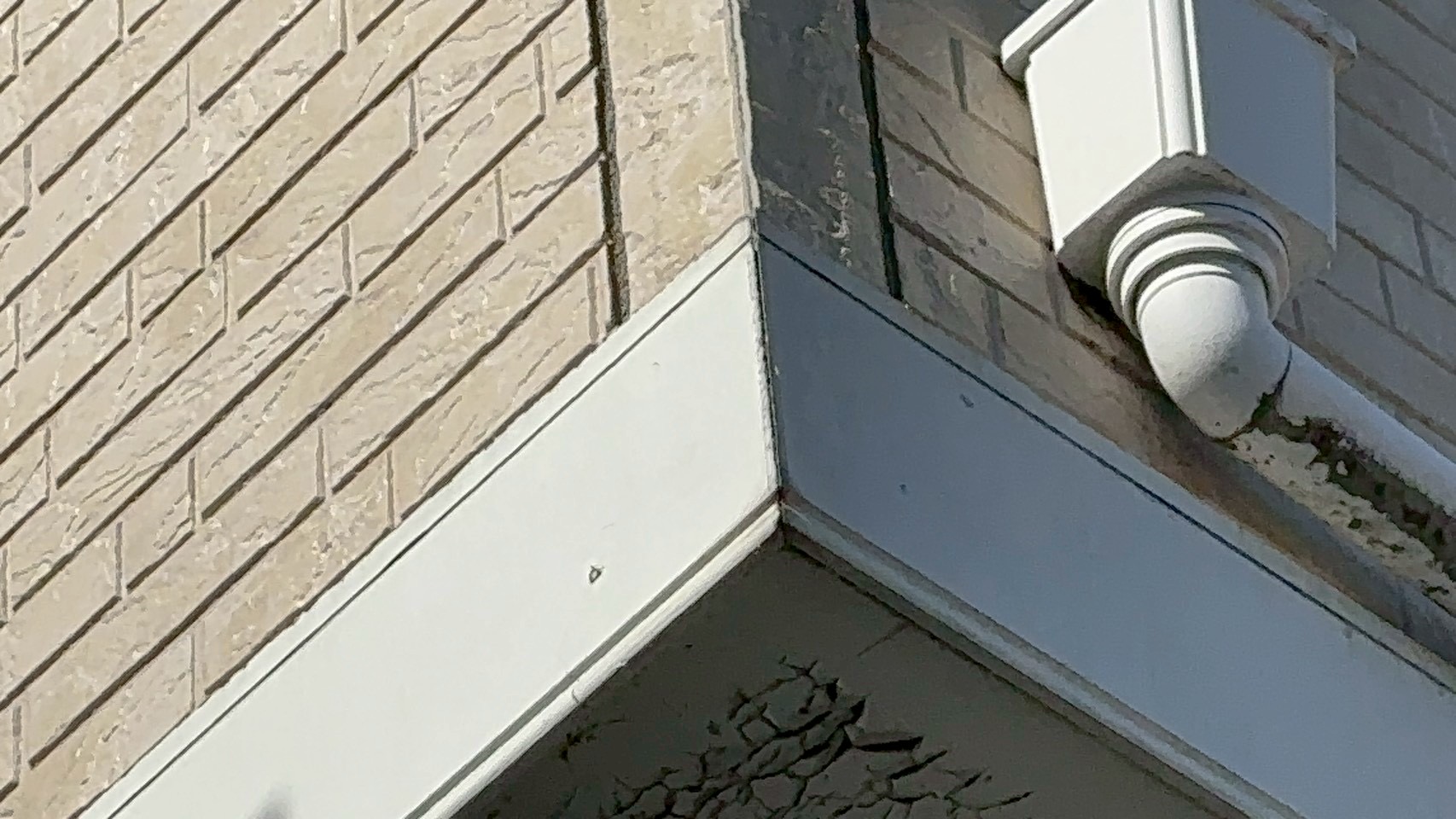 横浜・湘南の海沿い住宅で失敗しない外壁塗装｜塩害に強い塗装仕様を現場目線で整理します🌊