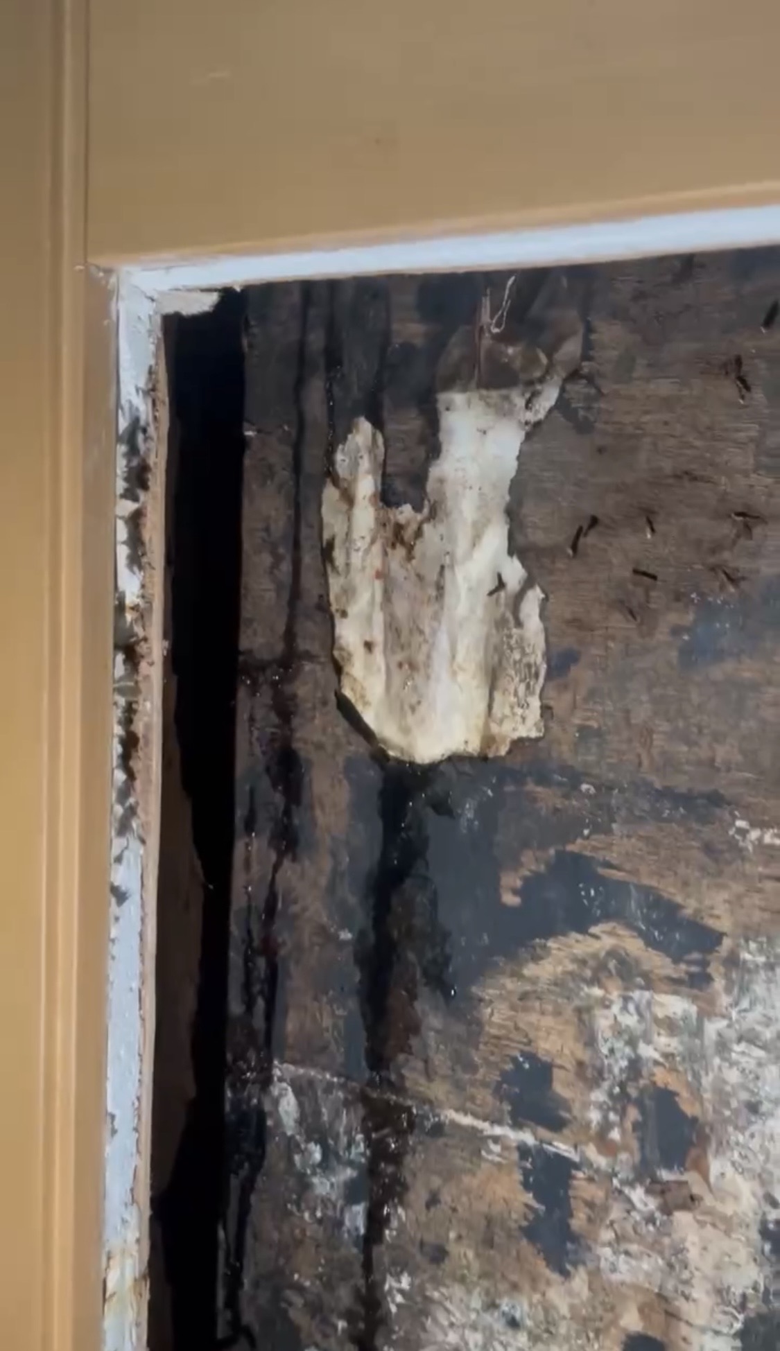 横浜市旭区｜その外壁クラック、本当に原因ですか？冊子の構造不良だった雨漏り事例🪟☔️