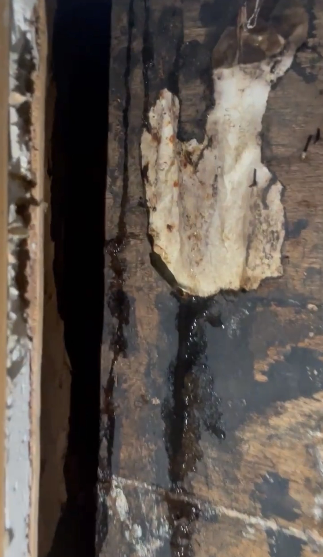 横浜市旭区｜その外壁クラック、本当に原因ですか？冊子の構造不良だった雨漏り事例🪟☔️