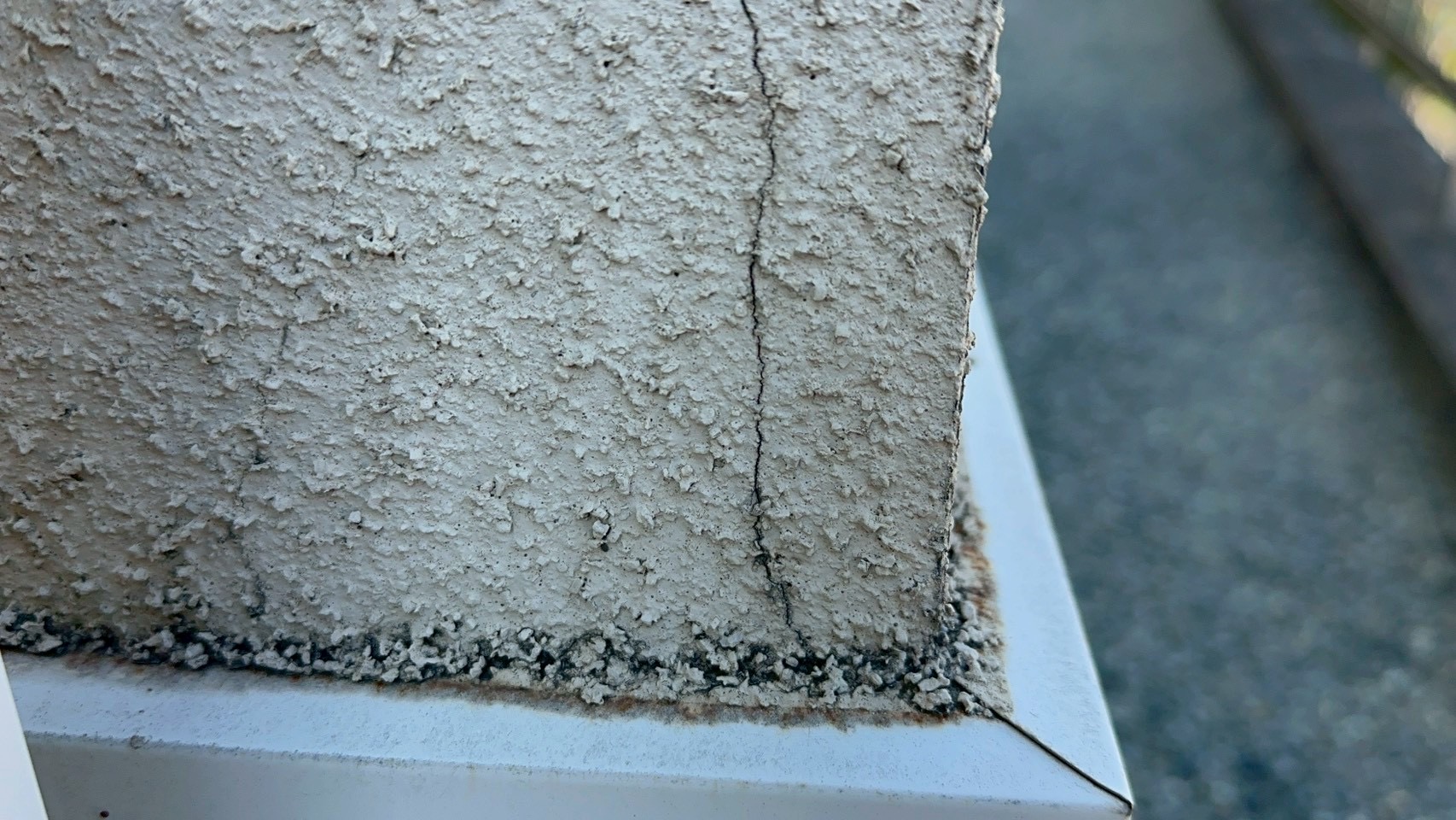 梅雨前に間に合う？春一番のあと屋根は大丈夫？3月に増える“焦り検索”を横浜市旭区の塗装会社が整理します🐣