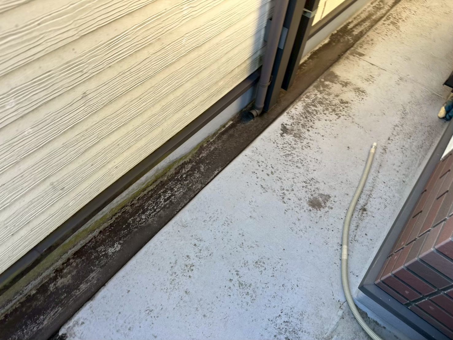 梅雨前に間に合う？春一番のあと屋根は大丈夫？3月に増える“焦り検索”を横浜市旭区の塗装会社が整理します🐣