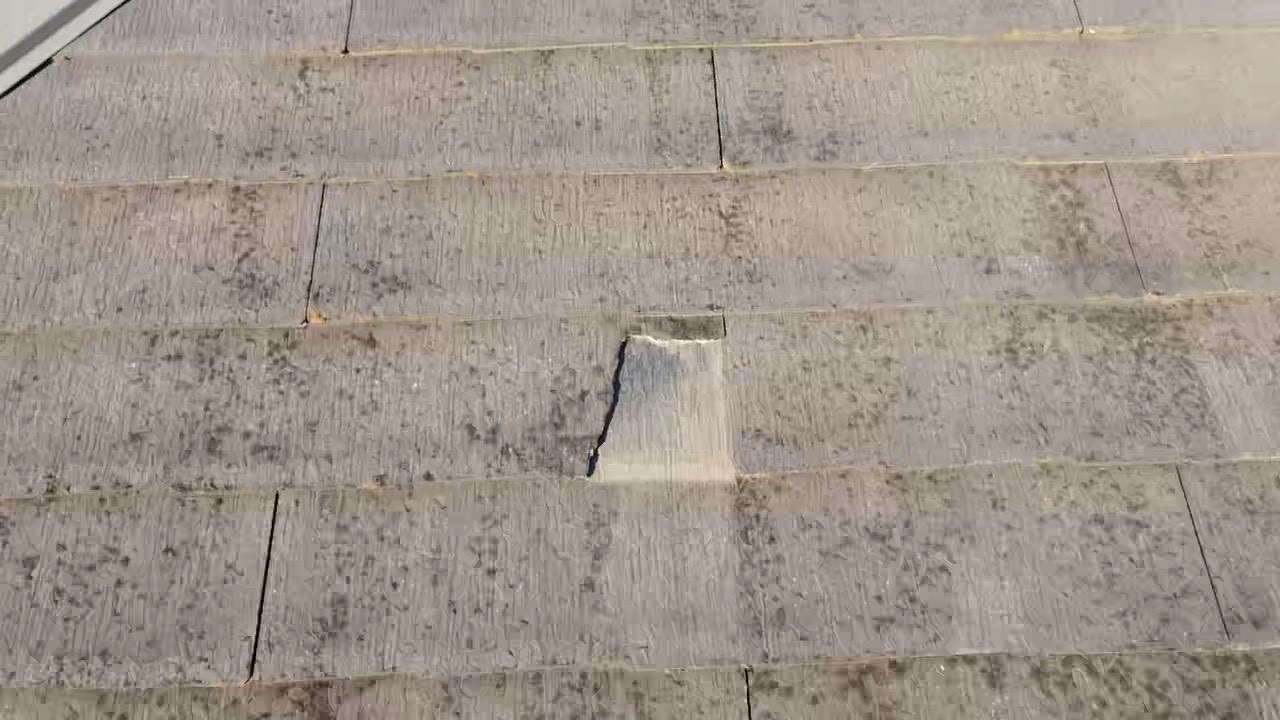 梅雨前に間に合う？春一番のあと屋根は大丈夫？3月に増える“焦り検索”を横浜市旭区の塗装会社が整理します🐣