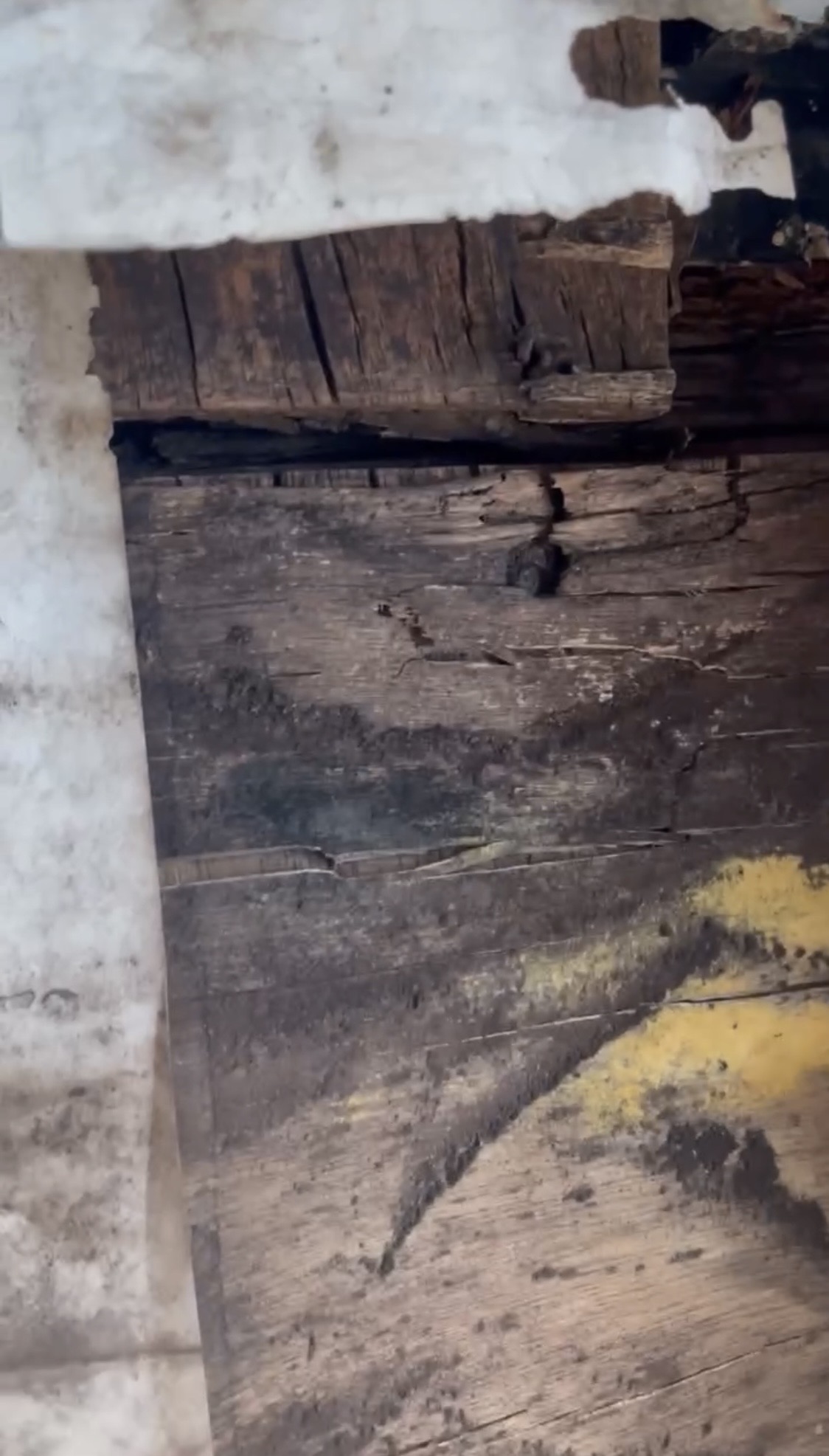 雨漏りは外より中で進む。散水調査→外壁撤去→貼り替えが必要になった理由🏞️