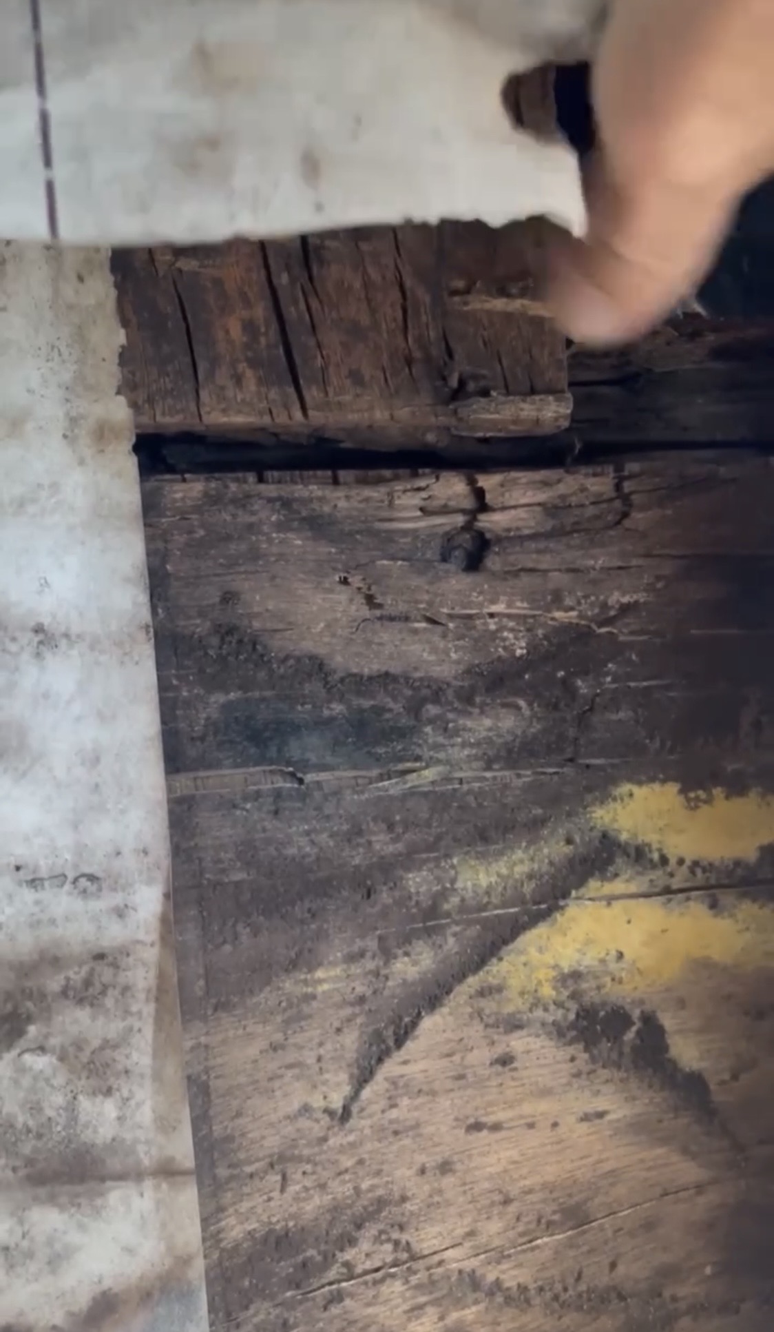 雨漏りは外より中で進む。散水調査→外壁撤去→貼り替えが必要になった理由🏞️