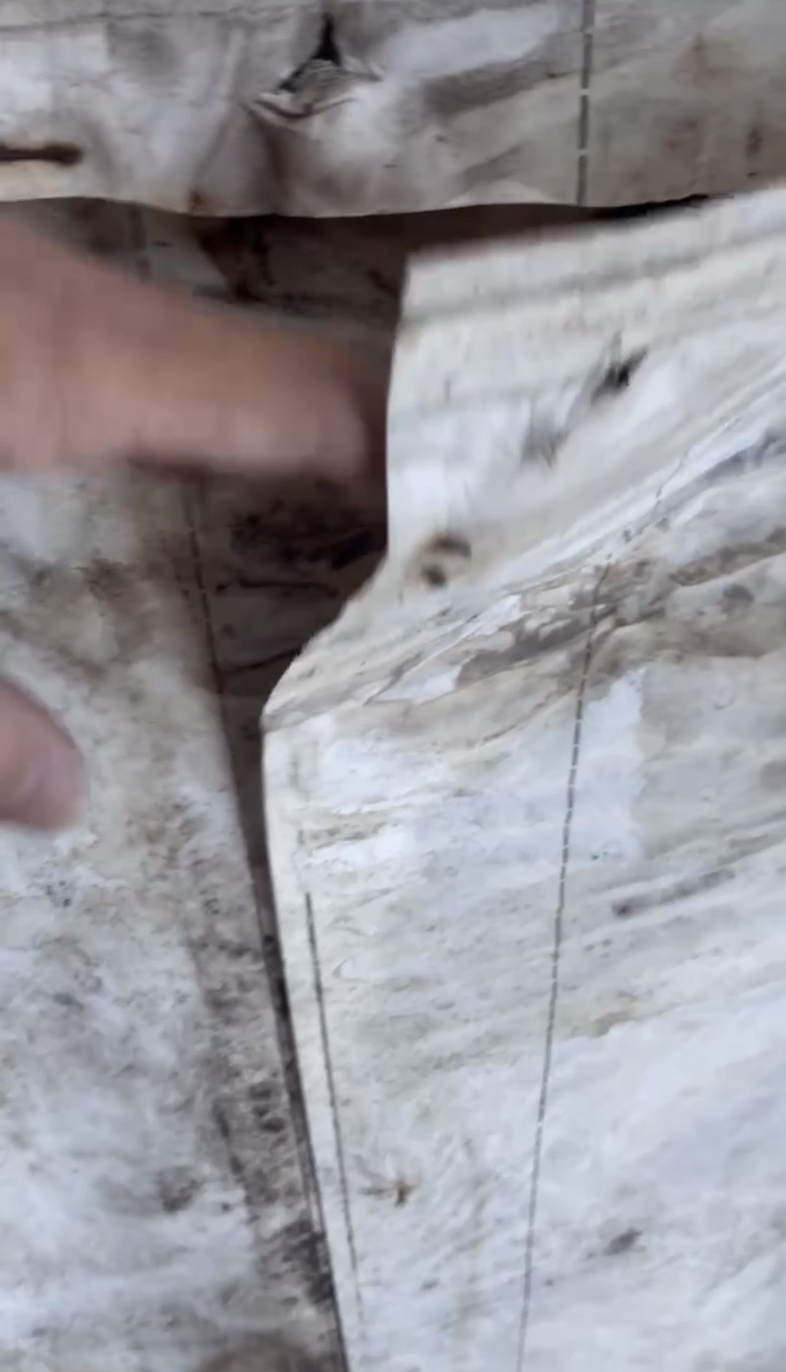 雨漏りは外より中で進む。散水調査→外壁撤去→貼り替えが必要になった理由🏞️