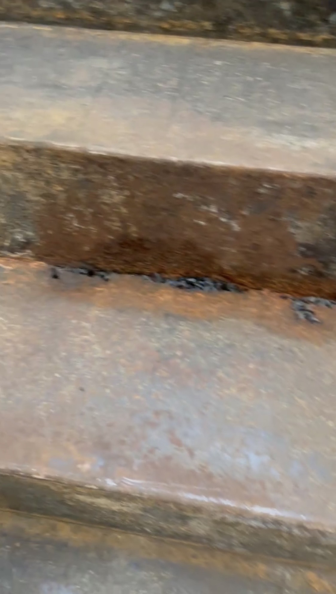 横浜市旭区のアパート鉄骨階段補修｜シート防水を撤去したら腐食で鉄部が欠損していた現場🐶