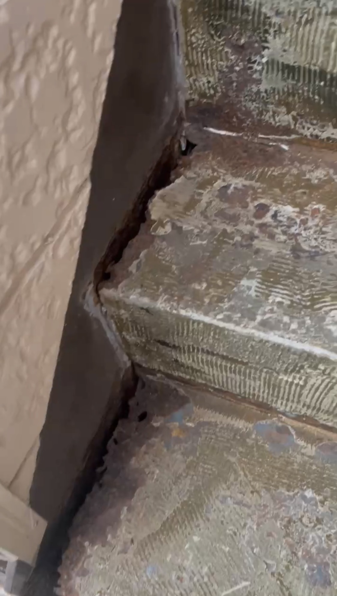 横浜市旭区のアパート鉄骨階段補修｜シート防水を撤去したら腐食で鉄部が欠損していた現場🐶