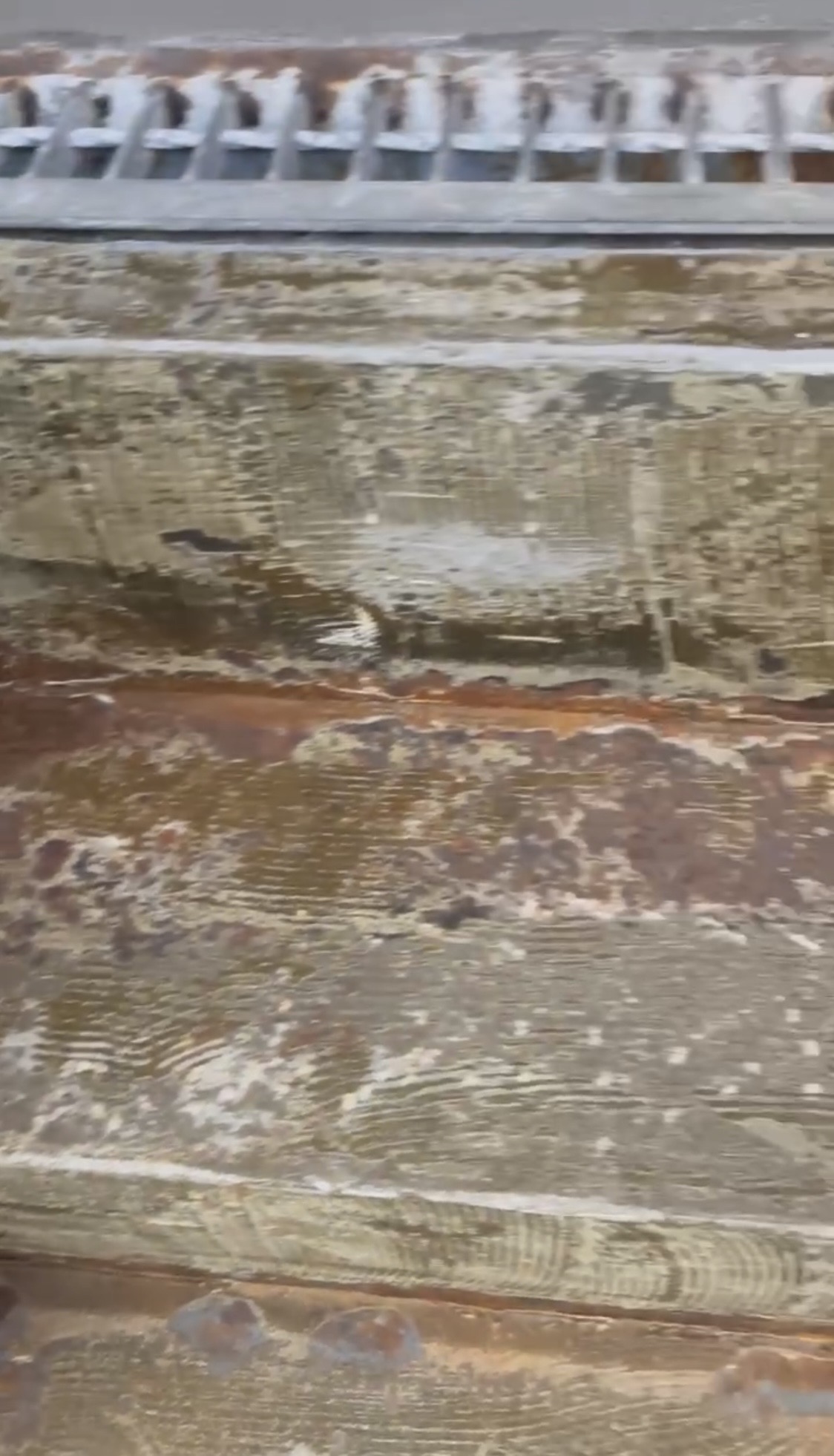 横浜市旭区のアパート鉄骨階段補修｜シート防水を撤去したら腐食で鉄部が欠損していた現場🐶