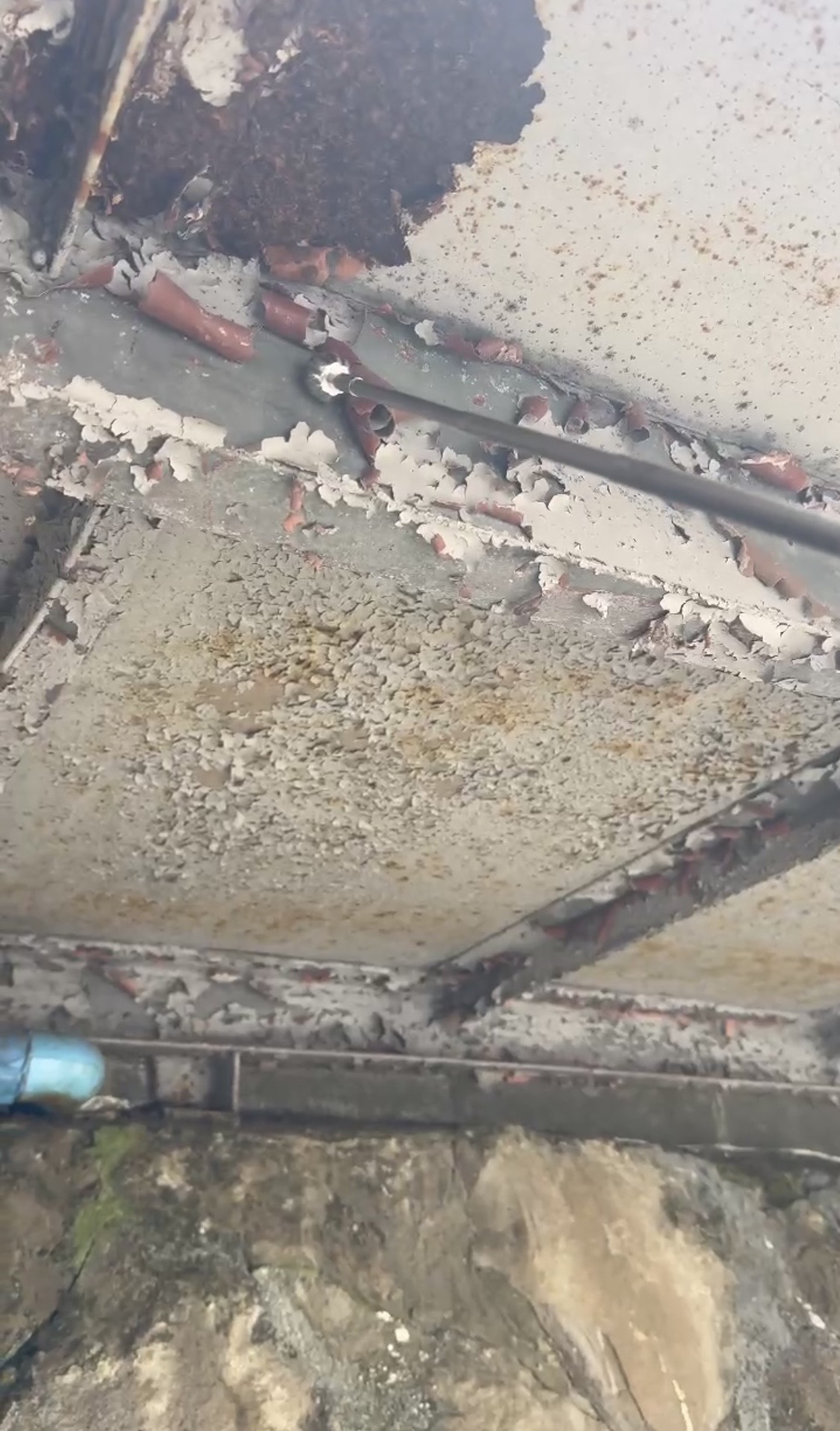 横浜市旭区の鉄部腐食調査｜塗る前に見ないと危ないサビの進行を現場で確認しました🐑