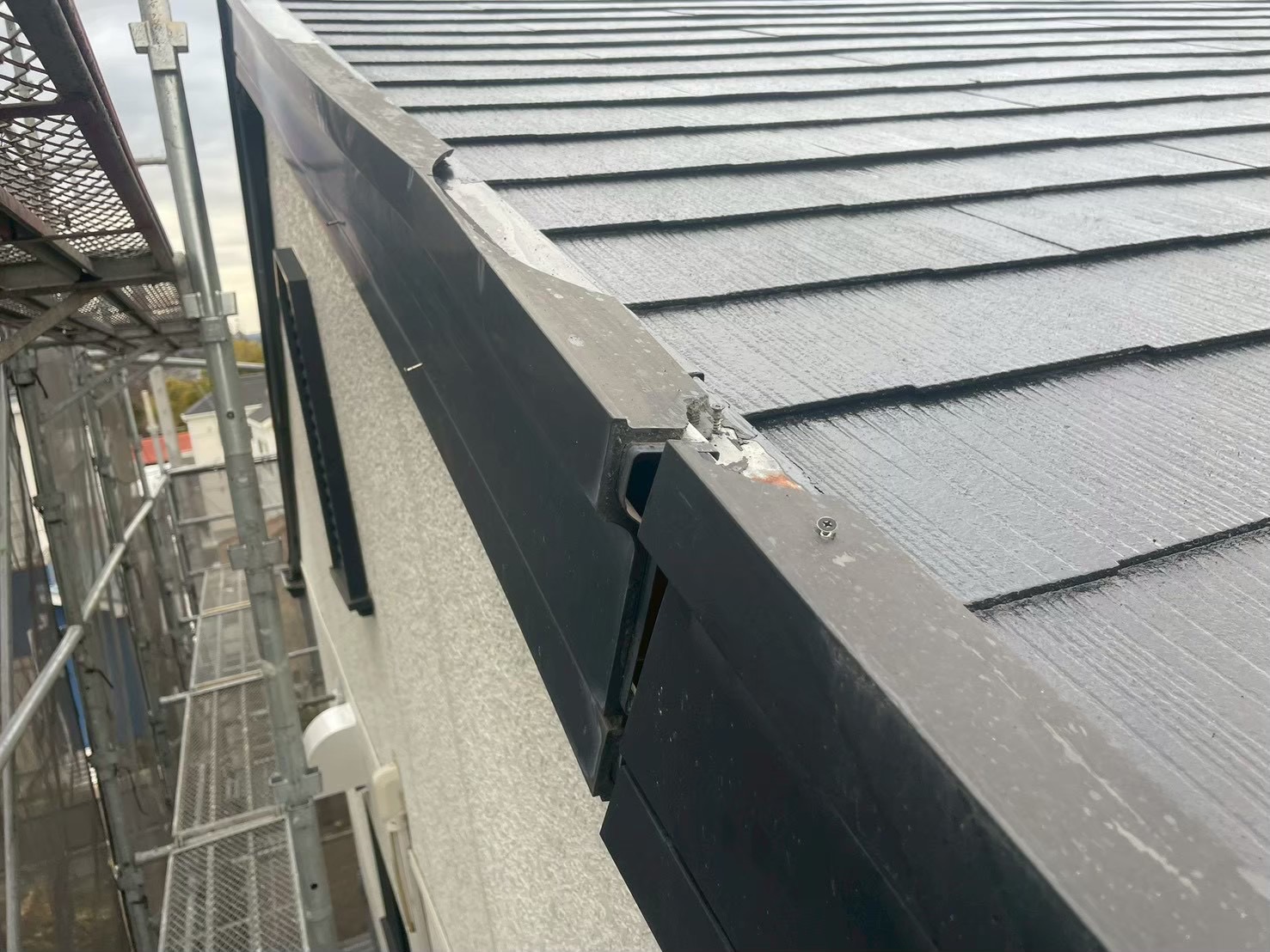 横浜市旭区｜雨漏りしてるのに塗装を勧められたら。私が先に止めた3つの判断🌻