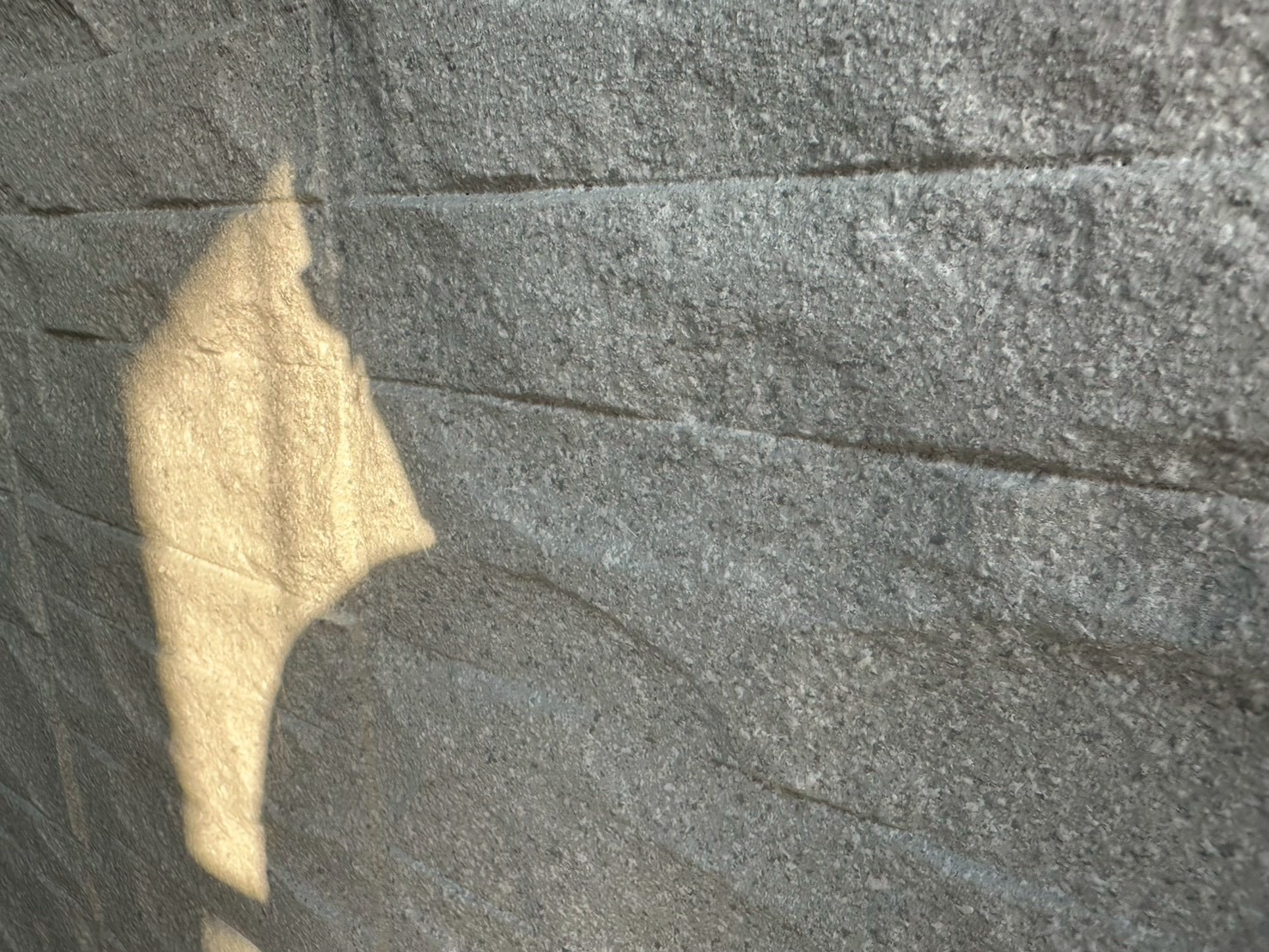 横浜市都筑区｜解体前点検で確認した、スカイメタルルーフと多彩模様外壁の仕上がりバランス🦋