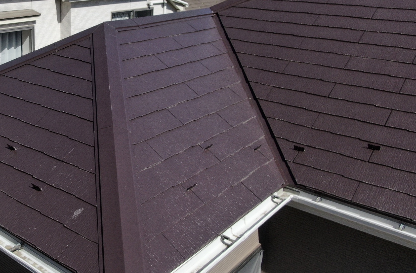 横浜市旭区｜一年点検で見えた差。難付着系サイディングでも、ラインはここまで真っ直ぐ残ります🐱