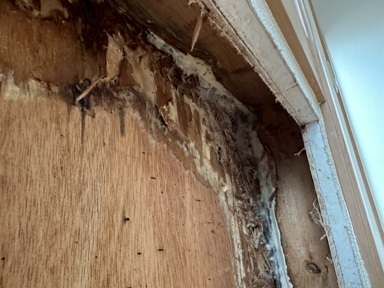 横浜市旭区｜サッシまわりの雨漏りは、ひび補修だけでは止まらないことがあります。開けて見えた二次防水と排水の調査🦤