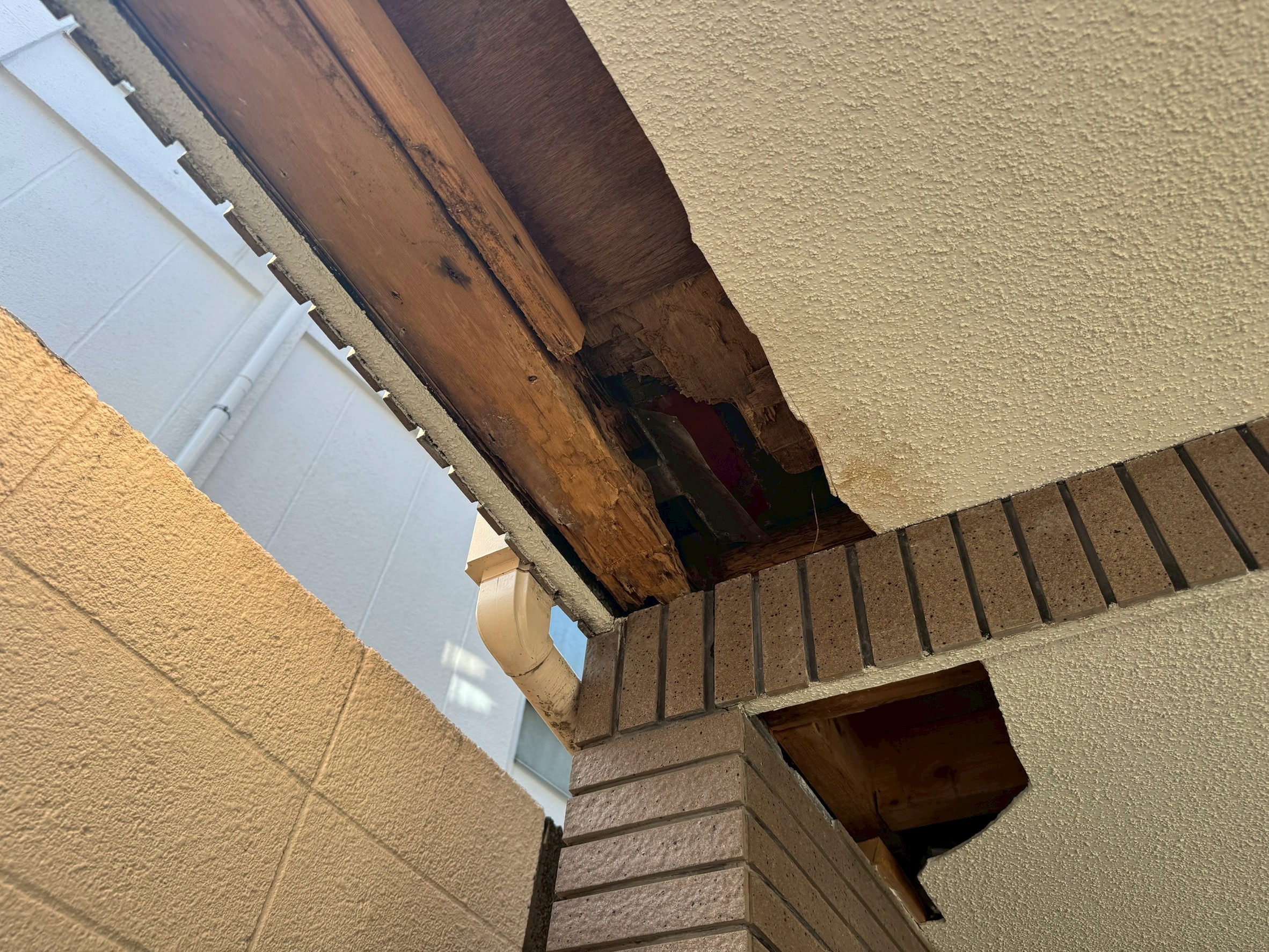 横浜市旭区｜施工したばかりのバルコニー防水が膨れたら。逆勾配と下塗り材の選定ずれで、木部腐朽と白アリまで進んだ雨漏り調査🐣