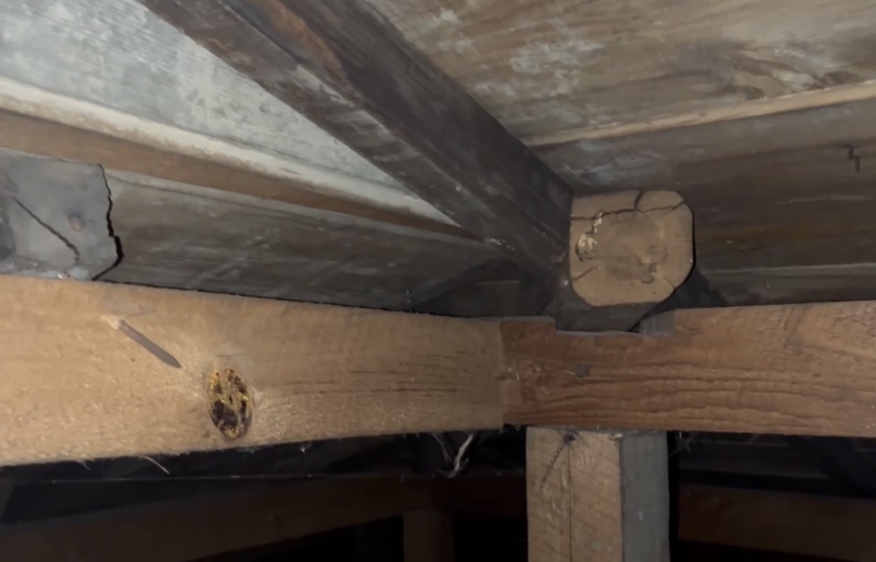 横浜市旭区｜塗装後も安心できなかったコロニアル屋根。縁切り不足だけで決めない、入母屋屋根の雨漏り調査🪴