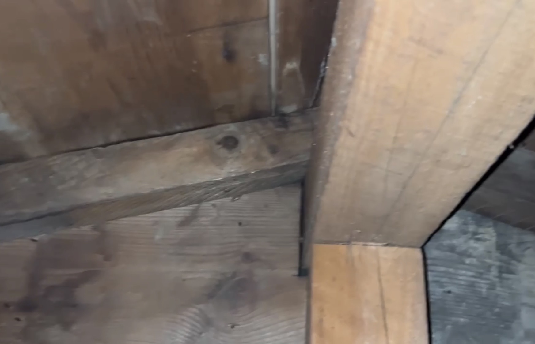 横浜市旭区｜塗装後も安心できなかったコロニアル屋根。縁切り不足だけで決めない、入母屋屋根の雨漏り調査🪴