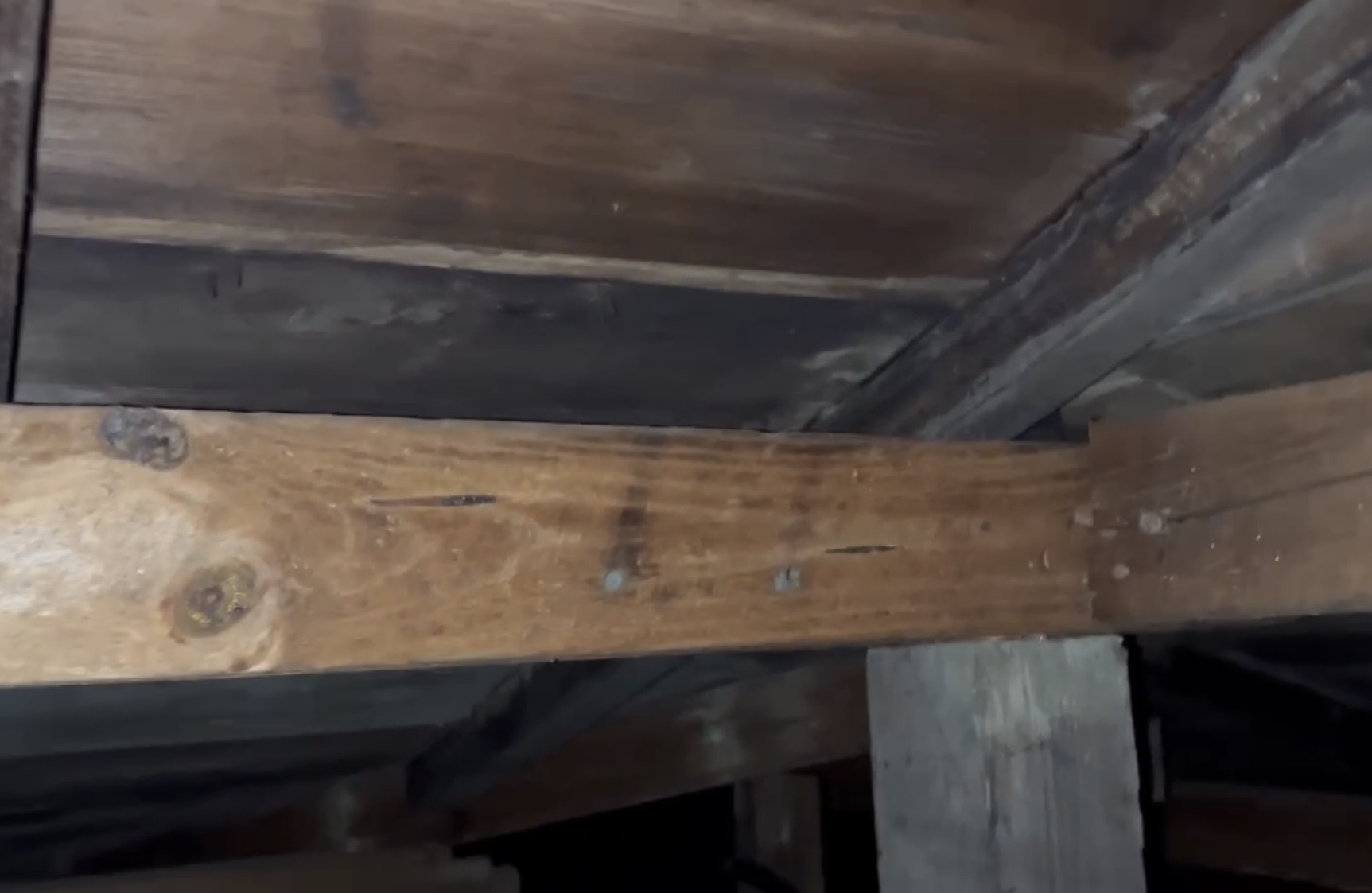 横浜市旭区｜塗装後も安心できなかったコロニアル屋根。縁切り不足だけで決めない、入母屋屋根の雨漏り調査🪴