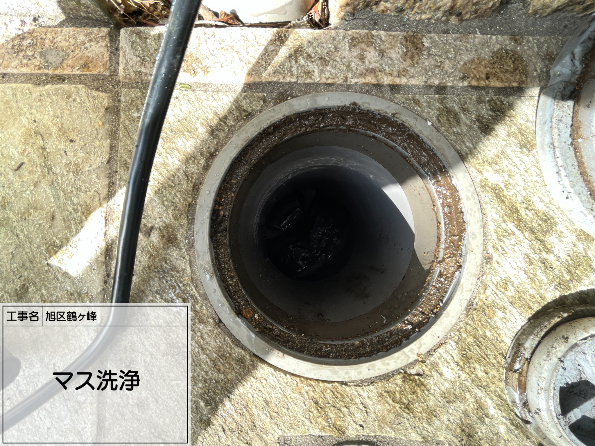 横浜市旭区｜梅雨前の土間・排水マス洗浄は、水の流れと雨漏りを決めつけない確認順🐳