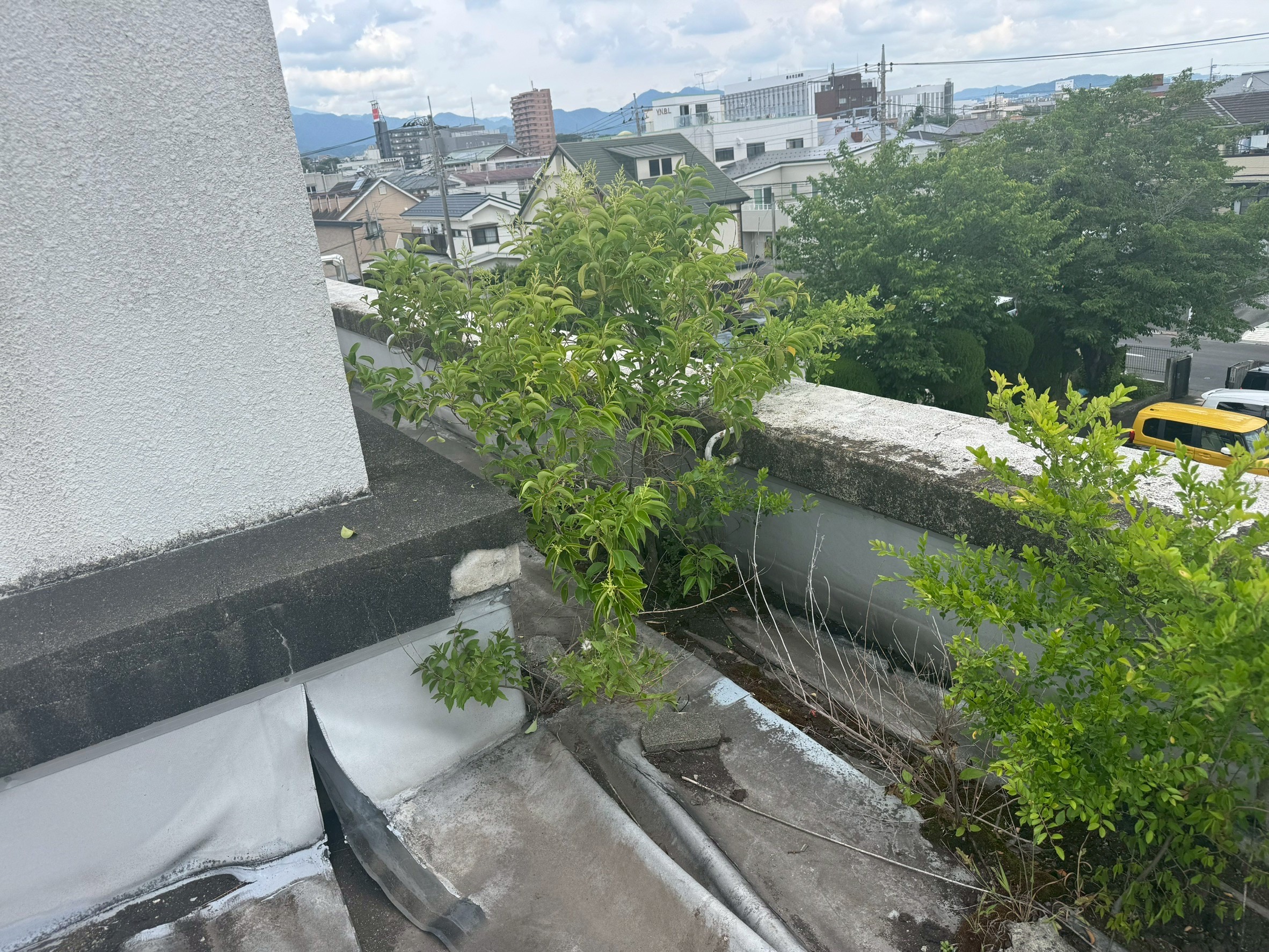 横浜市旭区｜商業施設の屋上防水は室内雨染みから、めくれ・植物・設備架台まで見ます👩‍🔧