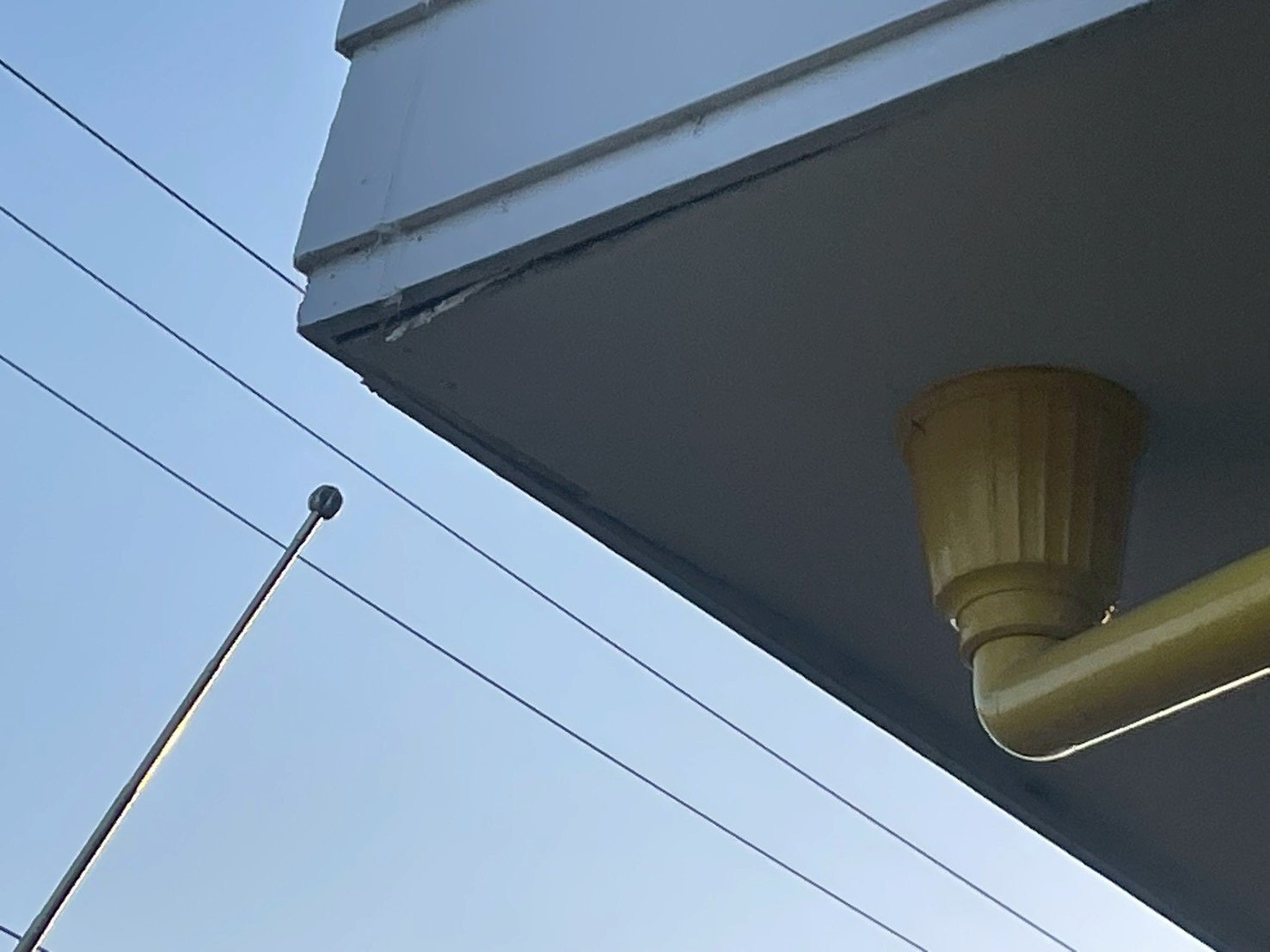 横浜市旭区の木造アパートで軒天剥がれを確認｜排水口・出窓上部サッシ・外壁目地まで見る雨漏り判断🚙