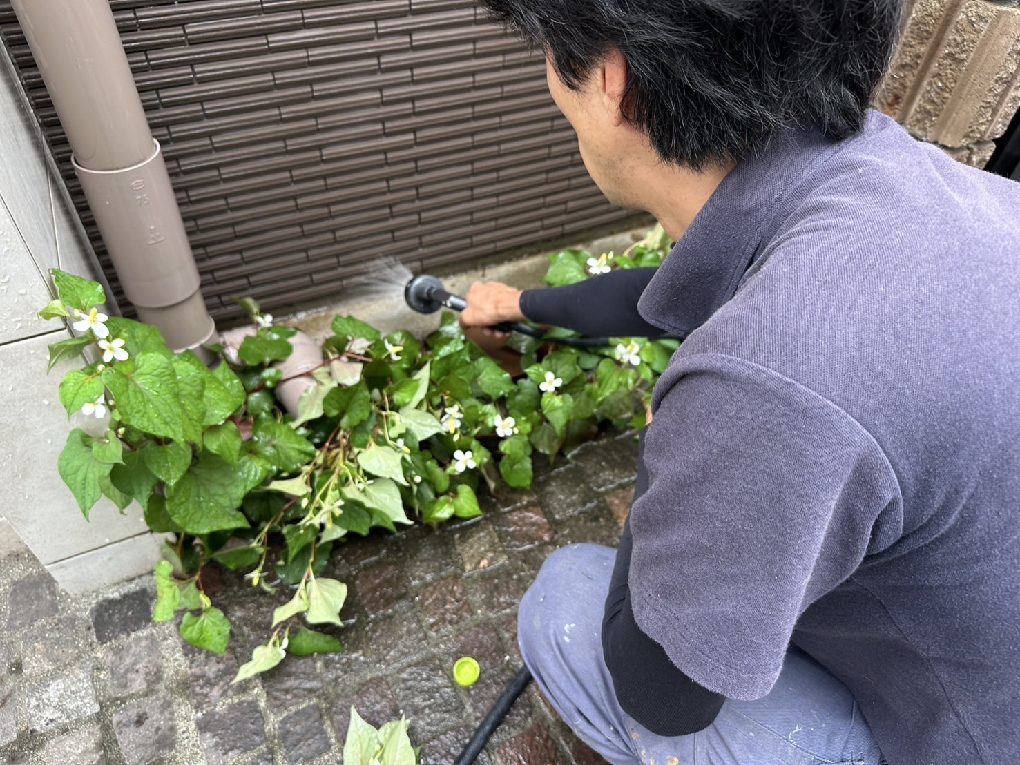 横浜市旭区の雨漏り調査｜大雨後にサッシ・外壁・雨樋をどう見るか🧑‍⚖️