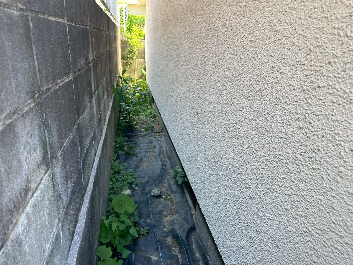 横浜市旭区の外壁ひび割れ補修｜塗装済みモルタルの塗り替え計画🚜