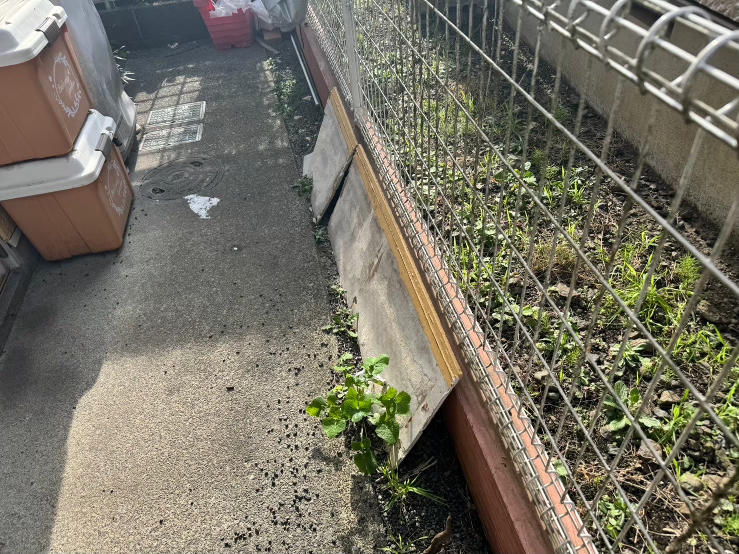 アパートの外壁が落ちたら、板を戻すだけで大丈夫？｜横浜市旭区🐸
