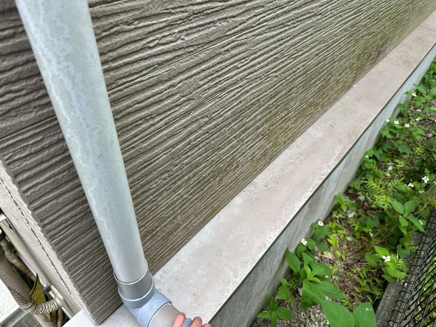 なぜそこだけ？窯業系サイディングのひび割れ・藻の理由と手入れ｜横浜市旭区🪴