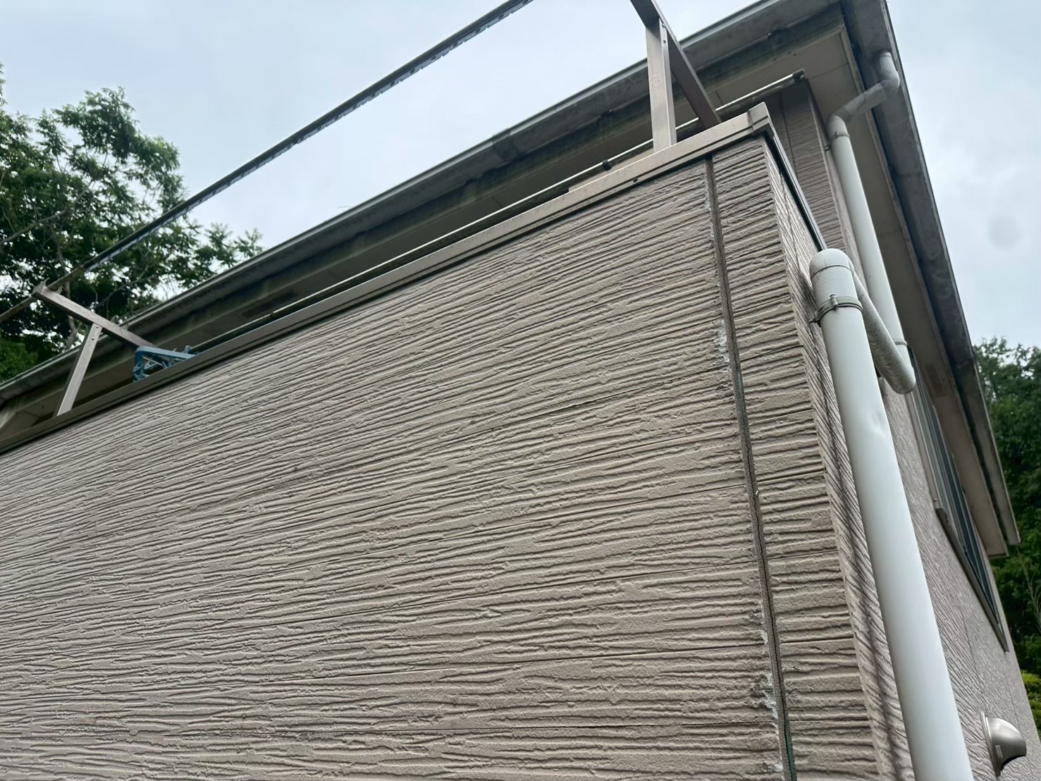なぜそこだけ？窯業系サイディングのひび割れ・藻の理由と手入れ｜横浜市旭区🪴